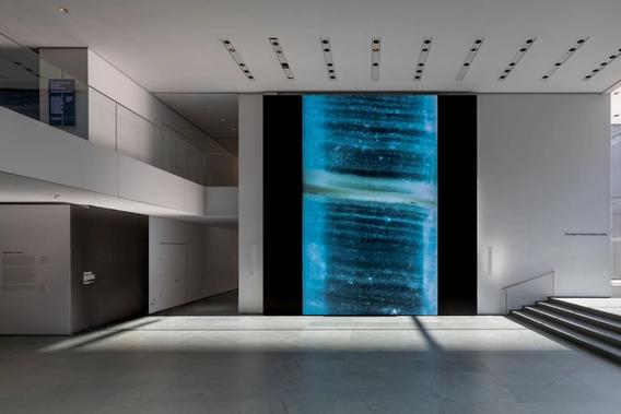 <p>Taking the Elevator Down into Time with Peggy Weil</p>