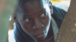 Orlando Mesquita. The Ball. 2001