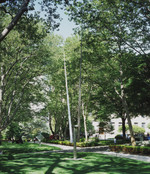 George Rickey. Two Lines -- Temporal I. 1964