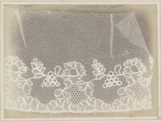 William Henry Fox Talbot. Lace. 1845