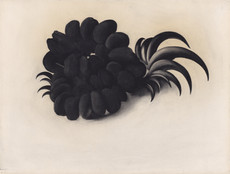Georgia O'Keeffe. Eagle Claw and Bean Necklace. 1934