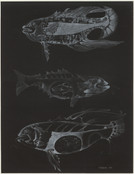 Lee Bontecou. Untitled. 1970